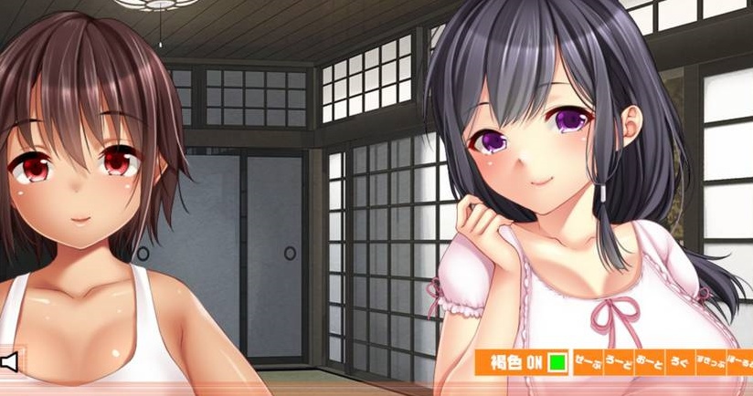 【日系AVG/安卓】乡下的无知娘[百度/微云]